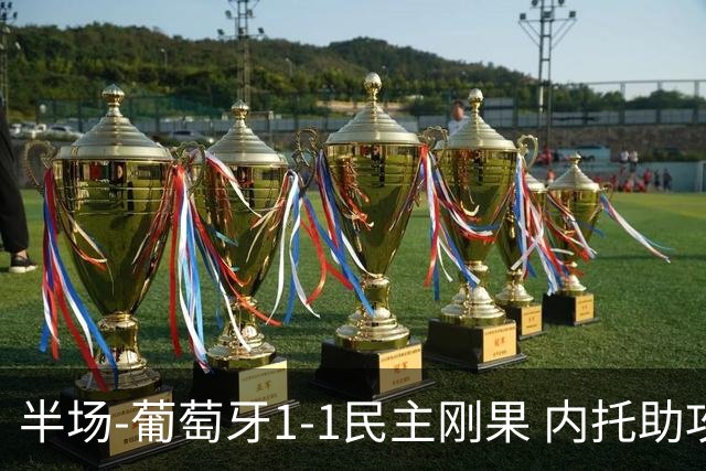 半场-葡萄牙1-1民主刚果 内托助攻若昂·内维斯破门维萨补时扳平